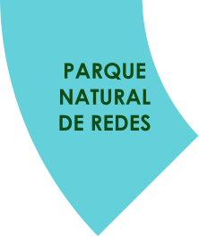 PARQUE  NATURAL  DE REDES