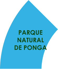 PARQUE  NATURAL  DE PONGA