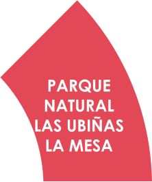PARQUE  NATURAL  LAS UBIÑAS  LA MESA