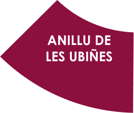 ANILLU DE LES UBIÑES