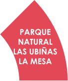 PARQUE  NATURAL  LAS UBIÑAS  LA MESA