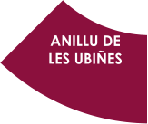 ANILLU DE LES UBIÑES